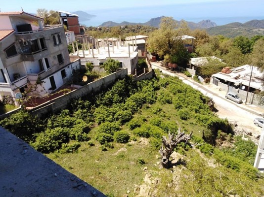 1073_Vente terrain annaba.jpg